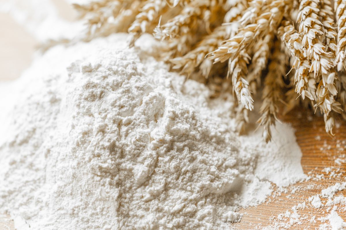 Tips for Storing Flour to Keep it Fresh for Baking
